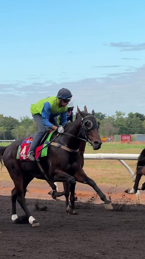 Underrated Horse Racing Song with Female Jockey Entrance Music