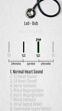 Heart sounds and murmurs #heartsound #heartmurmur #auscultation #cardiology