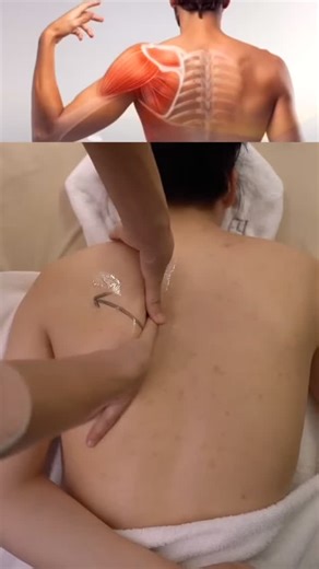 12K views · 495 reactions | Shoulder pain relief massage tutorial #shouldermassage #shoulderpain #shoulderpainrelief | 다이어트 | Facebook