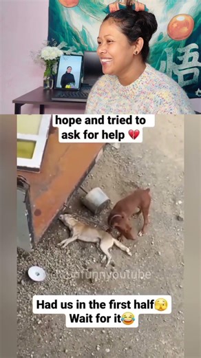 Itna gehri nind kon leta hain bhai #funnydogs #animalmemes #viralshorts #doglover #funnyanimals