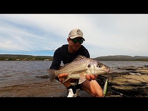 FISHING FOR GRUNTERS ON TOPWATER LURES. LIGHT TACKLE ESTUARY FISHING WITH SURFACE LURES!