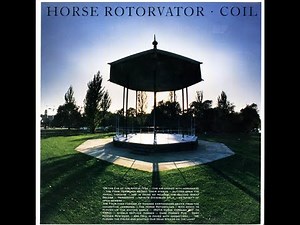 COIL – 01 The Anal Staircase