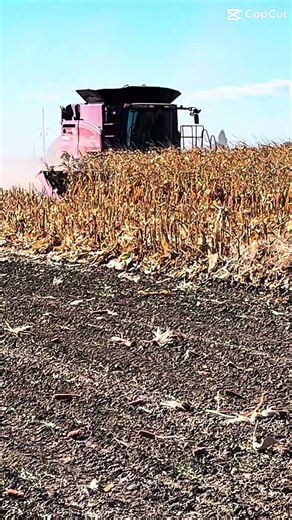Field Ready | @caseih combine demo