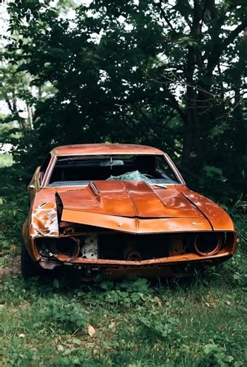 wrecked and forgotten 69 camaro