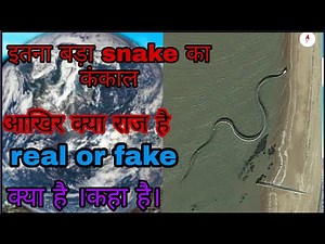 snake kankal | google map snake |real snake or fake|कहा है सांप का लोकेशन|