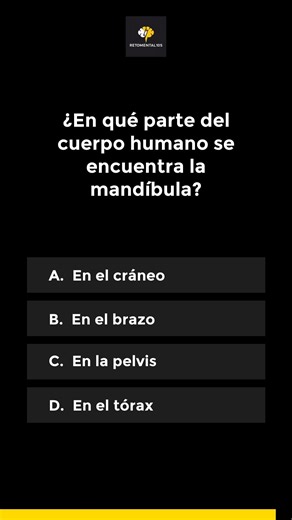 Anatomía Básica 💀 ¿Puedes con esto?