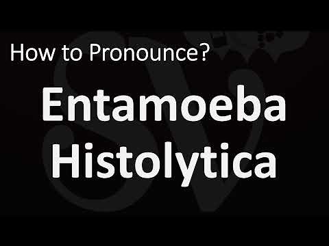 How to Pronounce Entamoeba Histolytica? (CORRECTLY)