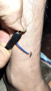 99M views · 63K reactions | Mosquitoes Masters of Adaptation in Changing Climates #BuzzKill #MosquitoBlues #SkeeterSquad #SwatTeam #MosquitoMagnet #ItchyBites #ZapTheMosquito | Annyta Acevedo | Facebook