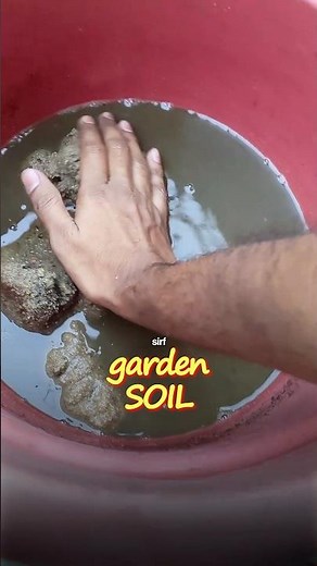 I Built This Planted Tank Without Aquasoil || #aquarium #plantedtank