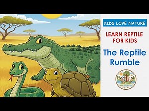 Learn Reptiles for Kids! 🐍🐢 20 Amazing Animals | Toddlers, Preschool & Kindergarten Learning