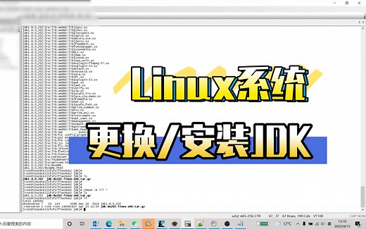 【经验分享】Linux系统更换/安装JDK简单流程, Java，视频里面是JDK8，Linux卸载删除OpenJDK流程