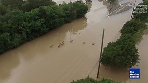 107K views · 1.8K reactions | A quiet moment captured above the flooding. | The Weather Channel | Facebook