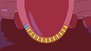 Video: Adult Stem Cells