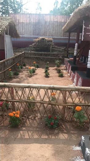 Exploring Traditional Juang Dormitory (Majang) ✨ | Adivasi Mela Ra Sundara Drushya 🌾