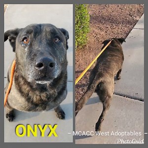 81 reactions · 146 shares | We should never have seniors at the...