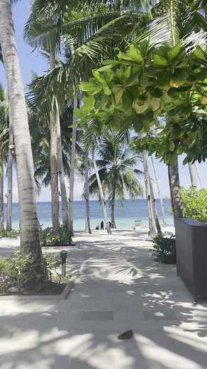 Alona Beach: A Paradise in Panglao Bohol