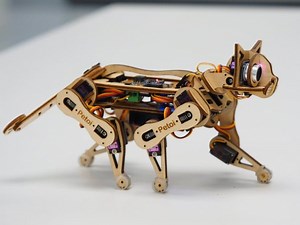 Petoi Nybble: Building a Raspberry Pi-Powered Robotic Pet