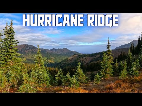 Hurricane Ridge - Olympic National Park | Washington