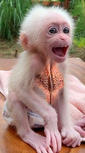 434K views · 1.7K reactions | Full story below | LuLu Family | Facebook