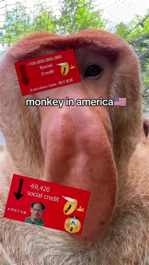 #chinaa #china🇨🇳 #china | china