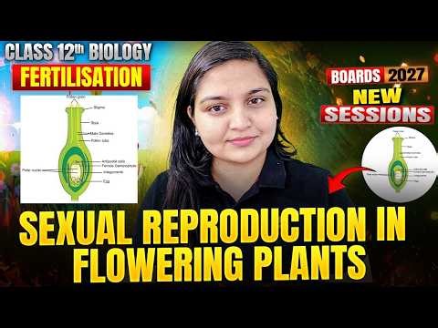 Class 12 Biology | Sexual Reproduction in Flowering Plants - Fertilisation | Boards 2026-27