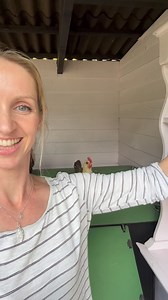 Tigger loves treats I knew that as soon as I reached for the treat jar she’d be straight there! #treats #jar #quick #jump #tigger #love #chicken #chickens #friends #friend #training #fun #shelves #shelfie #shelf #pink #hens #hen #animal #funnyanimals #cheeky | Eggs and Fluff