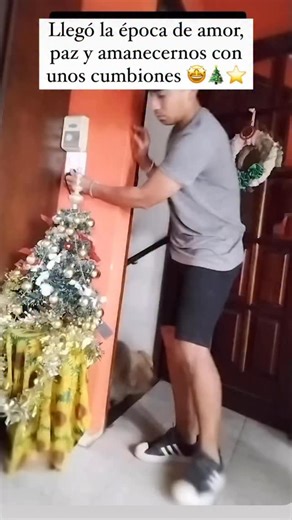 La China Sonidera on Instagram: "Y tenemos un par de playlist para toda la noche 🔥 Conenta “cumbiones” si quieres el link 🎄⭐️ . . . . . . . . . . . . . . . . . . #cumbia #cumbiones #cumbieros #bailar #navidad #fiestasdecembrinas #meme #posadas #posada #bailando #feliz #humor #amorypaz #divertido #musica #musicos #bailar #playlist #findeaño #musicaparabailar"