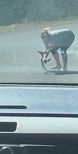 A pregnant woman in northern Arizona couldn't let a snake in the middle of the road become roadkill so she picked it up—and it was all caught on camera. STORY: bit.ly/2xisBeK | azfamily 3TV CBS 5