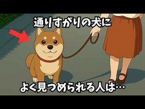 The secret behind why dogs are so fond of people: 5 common traits that attract dogs naturally