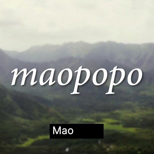 Hawaiian Word of the Week: Maopopo