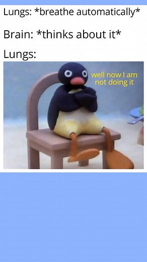 Random Memes 15 - Compilation - #meme #memes #randommemes #funnymemes #tiktok #memestiktok #relatable #relatablememes