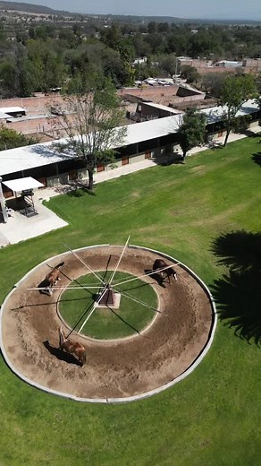 La Pasión de la Vida: Refugio y Calma en Nuestras Instalaciones