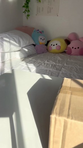 Cooky Humidifier Unboxing and Health Benefits