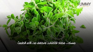 فوائد وأضرار البردقوش