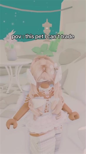 Turtle Pet Trade Inquiry