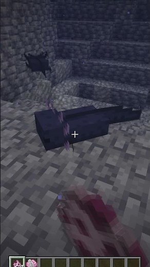 🤩NEUE AXOLOTL FÜR MINECRAFT🤩