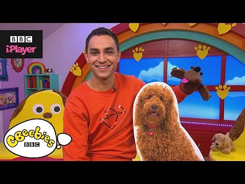 Make a Waffle the Wonder Dog Sock Puppet | CBeebies House