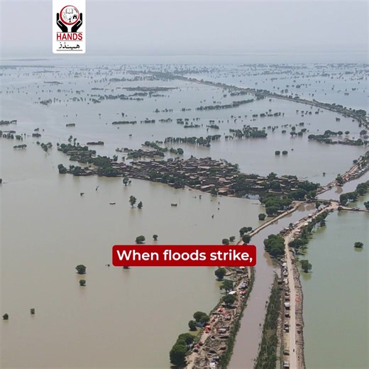 Thousands of families in Pakistan are still struggling after the devastating floods. Your small donation can provide food, clean water, shelter, and hope. HANDS is raising funds through the iCare platform to support the affected communities. Stand with them today — your support can help rebuild lives. 💙 🤲 Donate your Zakat or Sadqah or make a general contribution through the following channels: For Pakistan: https://hands.org.pk/donate-online/ For International Donation: https://i-care-america