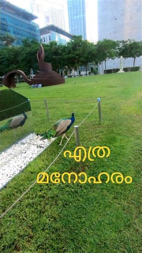 morning vibes ❤️🔥