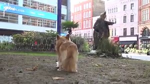 Harold the scarecrow has been helping commuters get ready for the release of 'Scary Stories To Tell In The Dark' 🧟 | Metro