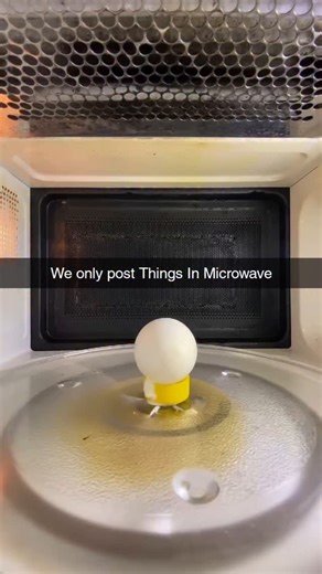 Things In Microwave on Instagram: "Ever wondered what happens when you microwave random stuff?  From snacks to surprises — you won’t believe #5!  ⚠️ Don’t try this at home (unless you're hungry and brave)! DM for Credit or Removal ! #MicrowaveExperiments #ThingsInMicrowave #KitchenFun #MicrowaveLife #MicrowaveChallenge #FoodieReels #SnackAttack #WeirdFoodCombos"