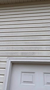 House wash…much easier and safer than power washing on a ladder. Works like magic on vinyl siding. Amazon link in the comments. #diy #homeimprovement #house #home #maintenance #homemaintenance #fall #clean #cleaning #handyman #chores #housework #landscaping #outside #cleaner | RLLWoodworks and DIY