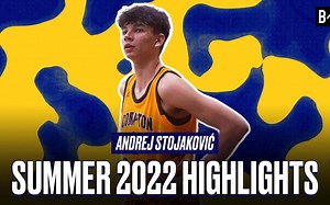 球员休赛期球局｜Andrej Stojaković