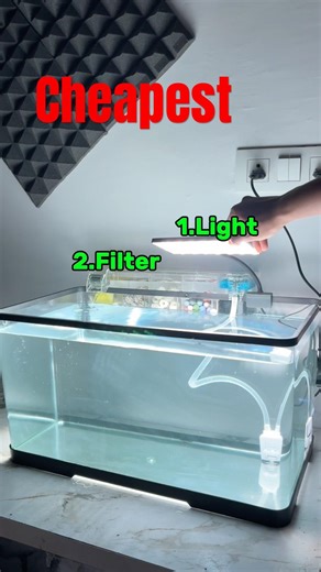 Testing Unbreakable Fish tank 😨 #shorts