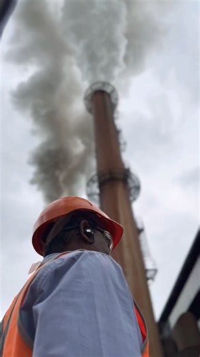 Tully Sugar Mill Since 1925 🎋 #tully #northernqueensland #qld #cane #shorts #sugarcane #sugarmills