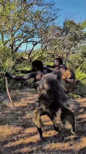 They Followed a Deer Call… and Spotted Movement in the Bush | Wildlife Awareness