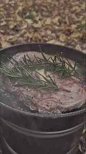 Ribeye steak sandwich with the Trangia 27 #trangia #cookingoutdoors #campingfood #cookingintheforest