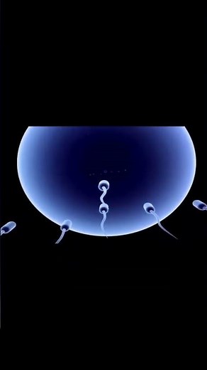 The Acrosome Reaction: Sperm's Epic Journey