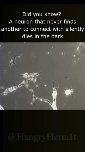 Mind-blown Meme: POV: The neuron that holds the test answers #memes #shorts