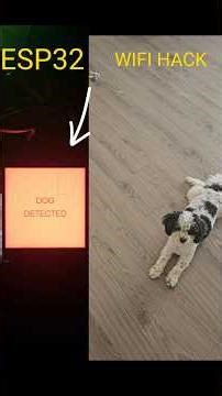 ESP32 Can Feel My Dog 🐶 #esp32 #WiFiHack #DogDetected #diytech